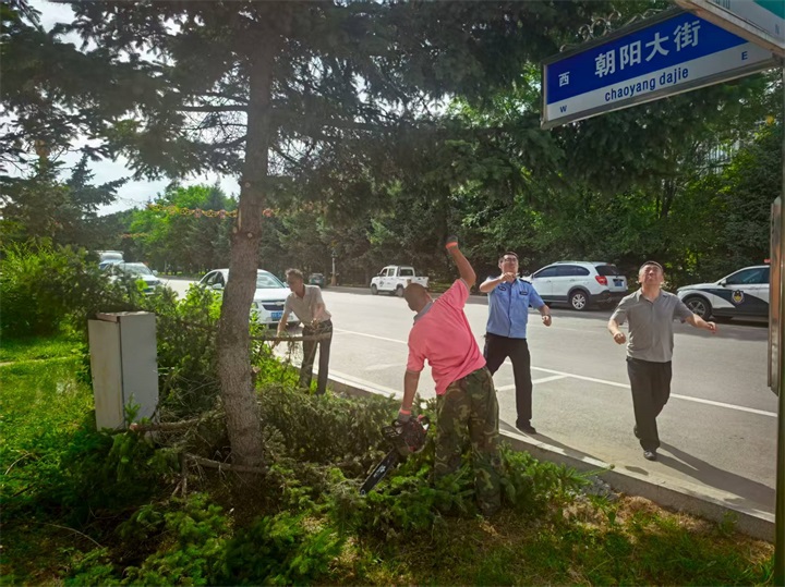 一诺万佳诚远分公司守卫场区绿色风景线 消除隐患保畅通